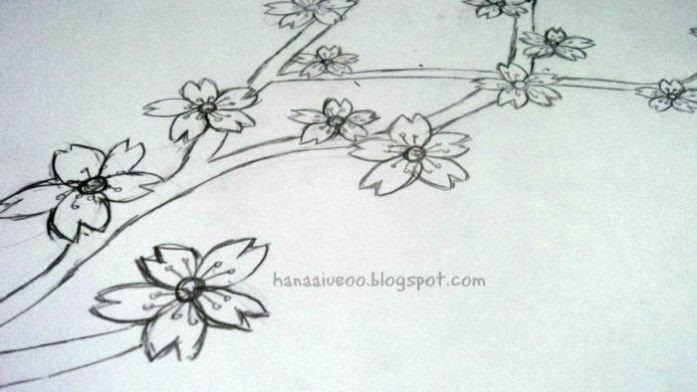 Gambar Sketsa Bunga Sakura Gambar Batik Bunga Yang Mudah ...