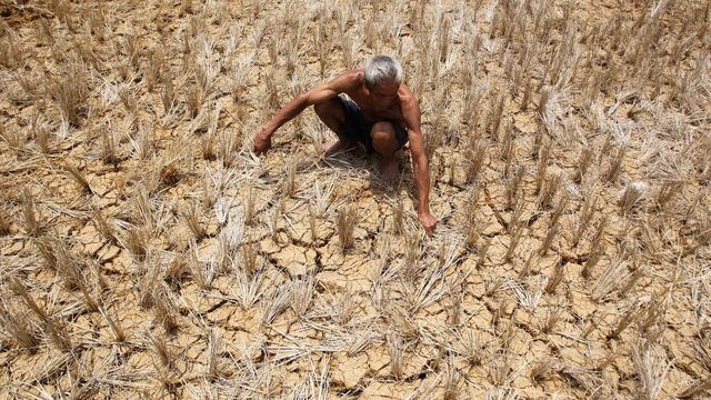 Climat : on vous explique pourquoi le retour du phénomène météo El Niño est redouté