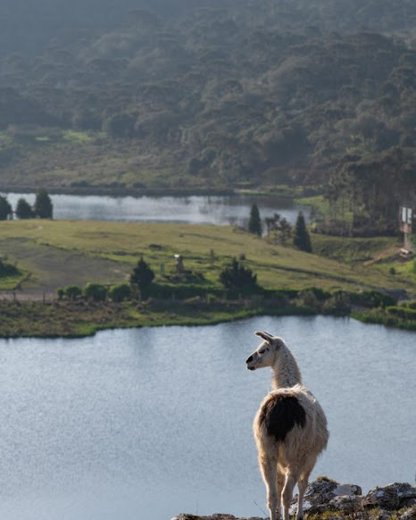 Impossibilidade de viajar de avião aumentam demanda no turismo regional