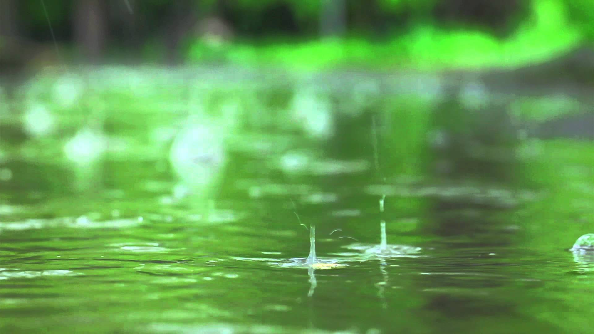 元の壁紙 美しい 雨 の 画像 最高の壁紙hd