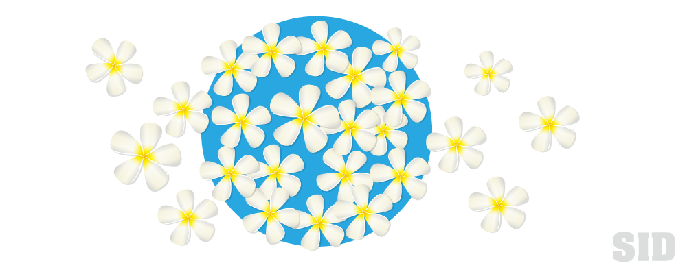 すべての動物の画像 新鮮なプルメリア イラスト 無料