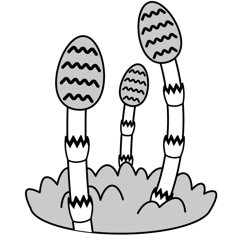 Japan Image 4月 イラスト 白黒