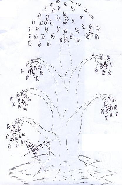 Tes Psikotes Gambar Rumah Pohon Orang Psikotes Untuk Kamu