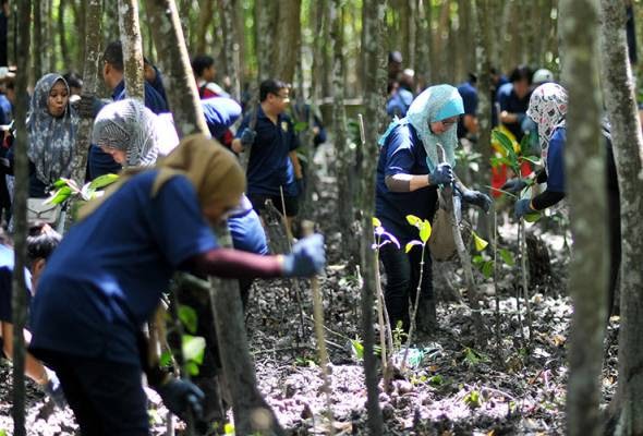 kempen alam sekitar di malaysia