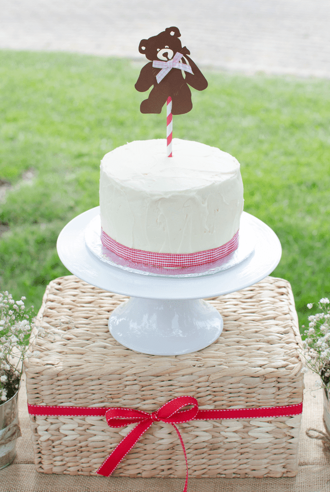 CUTE Teddy Bear Picnic Birthday Photos + Inspiration! 