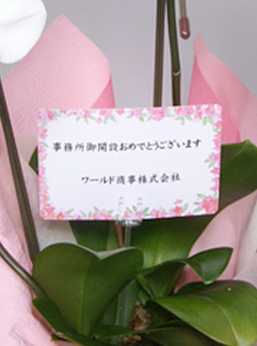 開店 祝い 英語 メッセージ