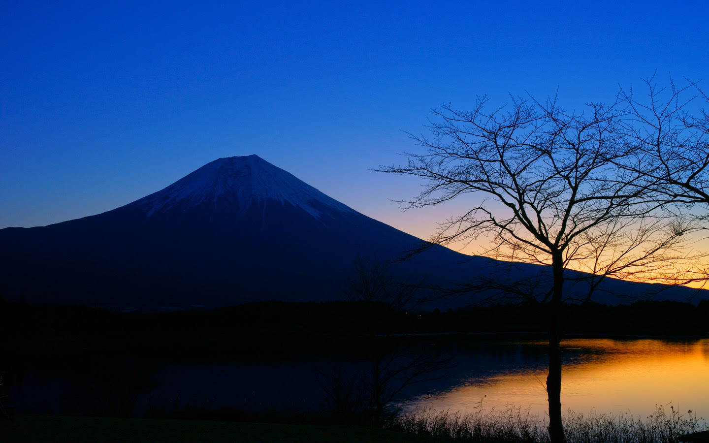 最高のコレクション 富士山 画像 壁紙 Jpbestwallpaper