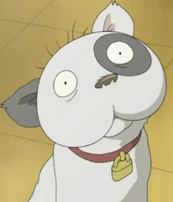 上犬 キャラ アニメ 最高の壁紙hd