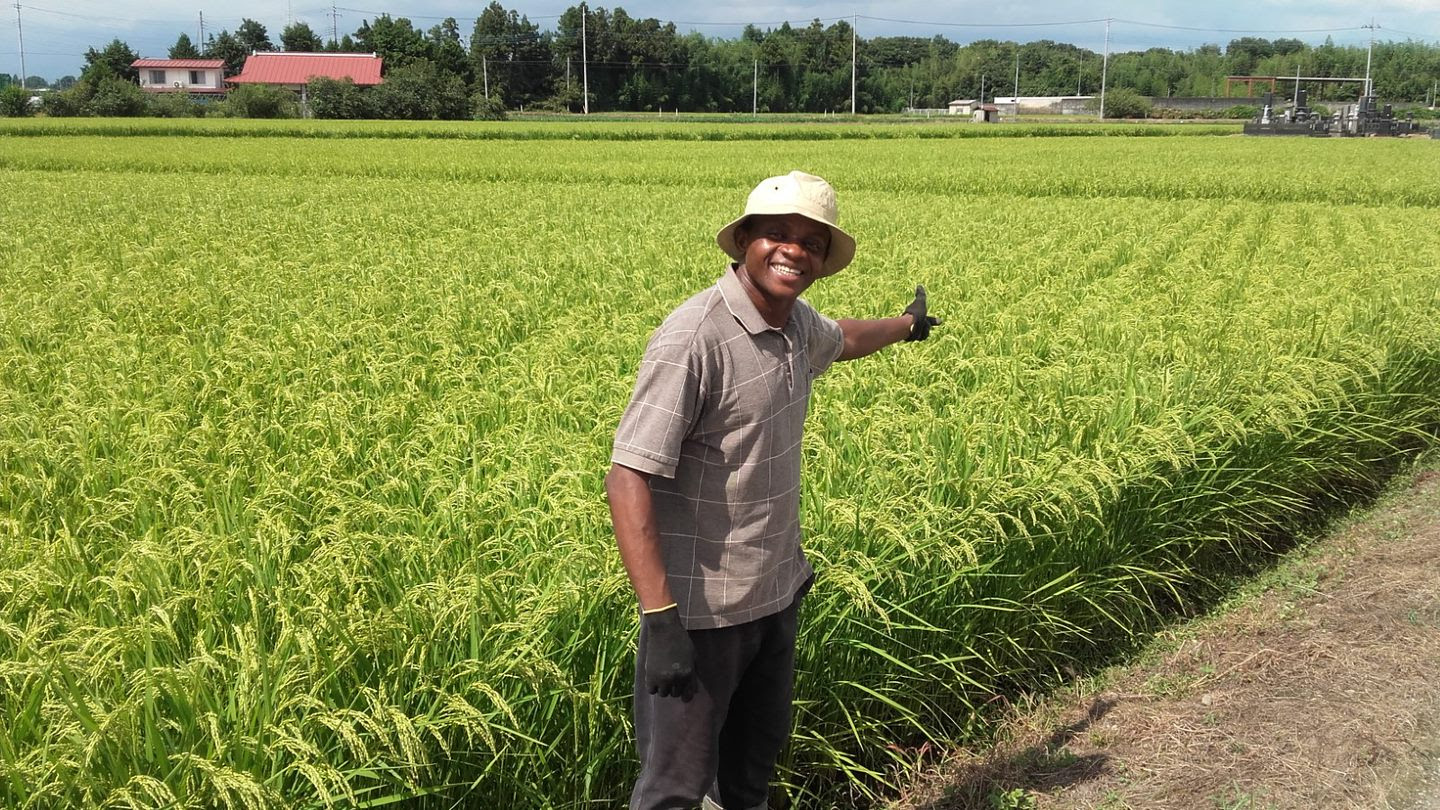 Photo of a smiling Mambud in front of a green field of crops.