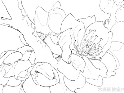 ++ 50 ++ 風景 高齢 者 塗り絵 花 簡単 243986