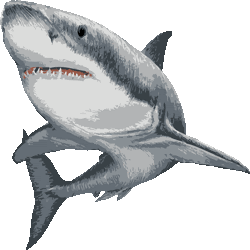 新鮮なリアル 簡単 サメ イラスト すべてのイラスト画像