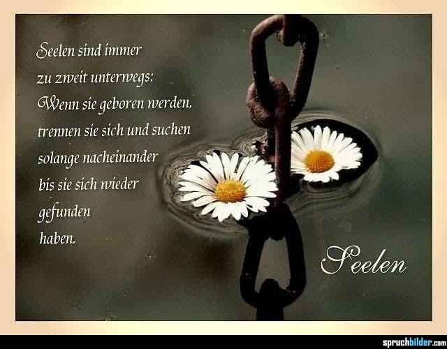 Spruche Und Zitate Die Die Seele Beruhren Tolle Spruche Leben