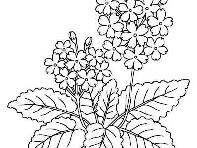上 白黒 花 絵 445544-白黒 花 絵文字
