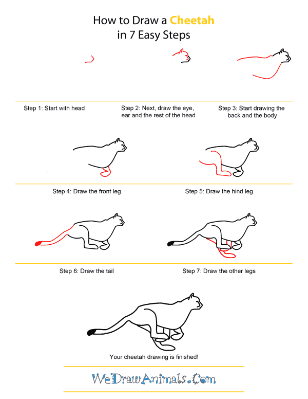 You can edit any of drawings via our online image editor before downloading. How To Draw A Cheetah