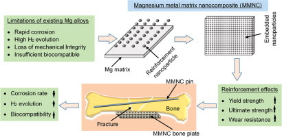 Graphical abstract for this article