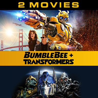 Bumblebee Transformers