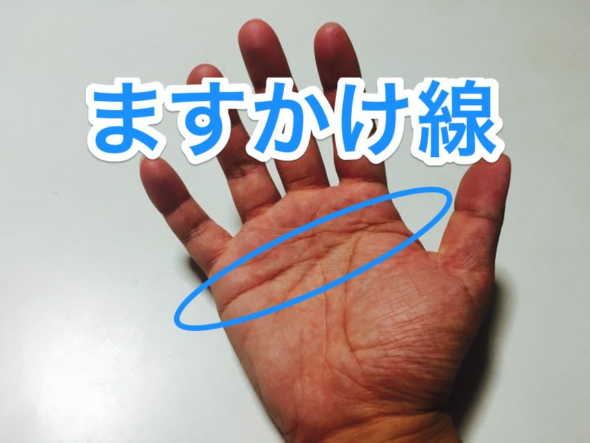 ファッショントレンド 綺麗なます かけ 線 女性