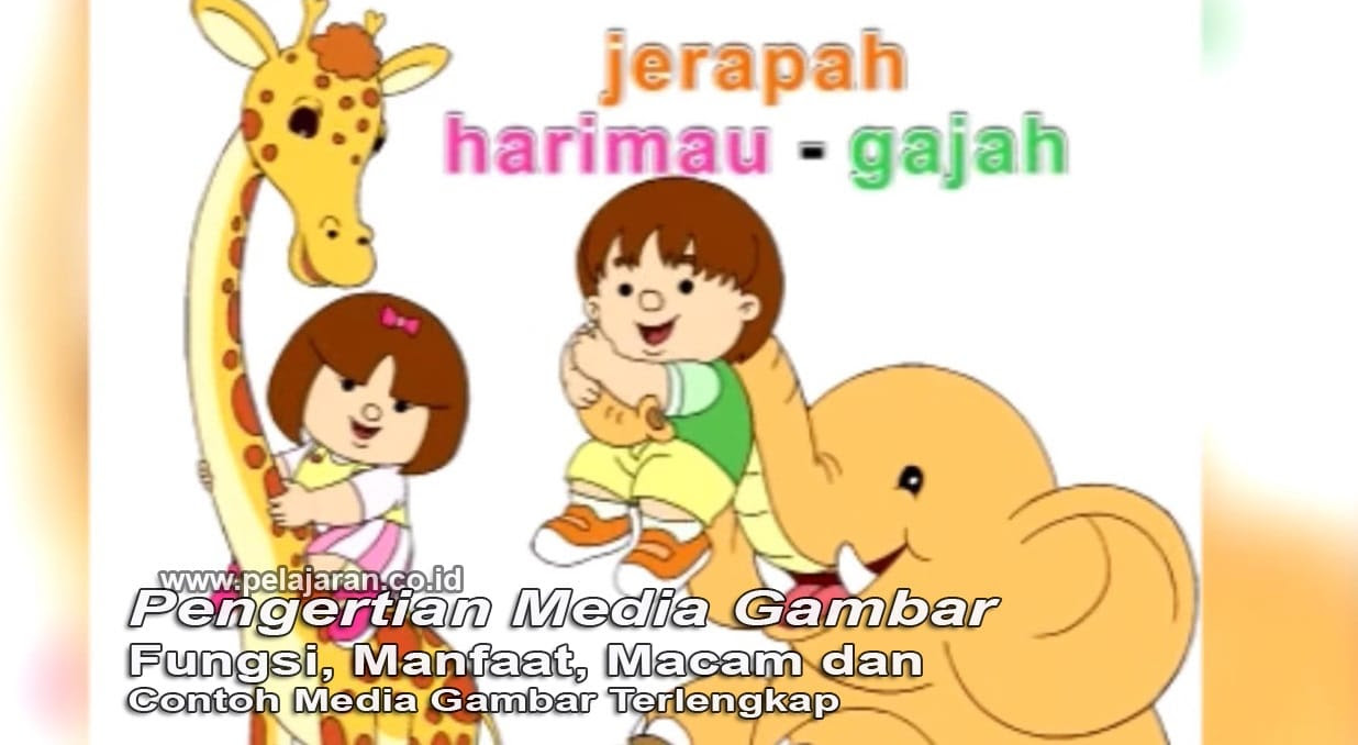 Kumpulan Fungsi Dari Gambar Kartun Adalah Himpun Kartun