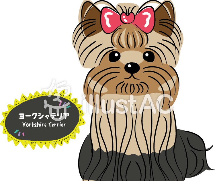 ベスト50 ヨークシャ テリア イラスト 美しい花の画像