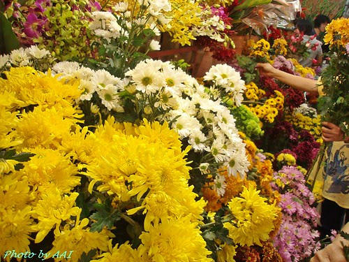- All About Ipoh -: February 2011