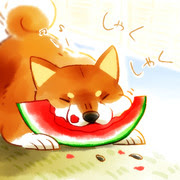 子供向けぬりえ 夏 かわいい イラスト 動物