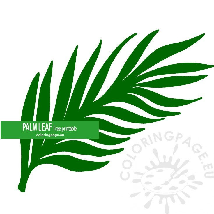 Palm leaf template palm tree leaf template printable palm paper craft about for children to make for palm sunday celebrations. Green Palm Leaf Printable Coloring Page