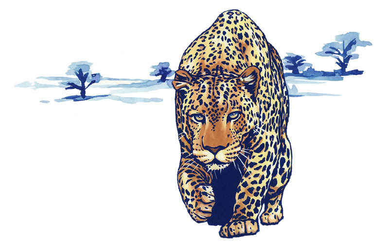 ベスト50 動物 かっこいい イラスト 動物の島