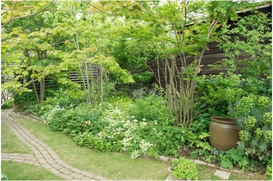 すべての花の画像 心に強く訴える低木 雑木 種類
