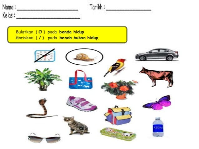 Soalan Matematik Tahun 2 Penggal 1 - Kosong Kerja