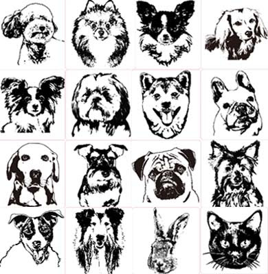 トップ100動物 顔 イラスト リアル 動物ゾーン