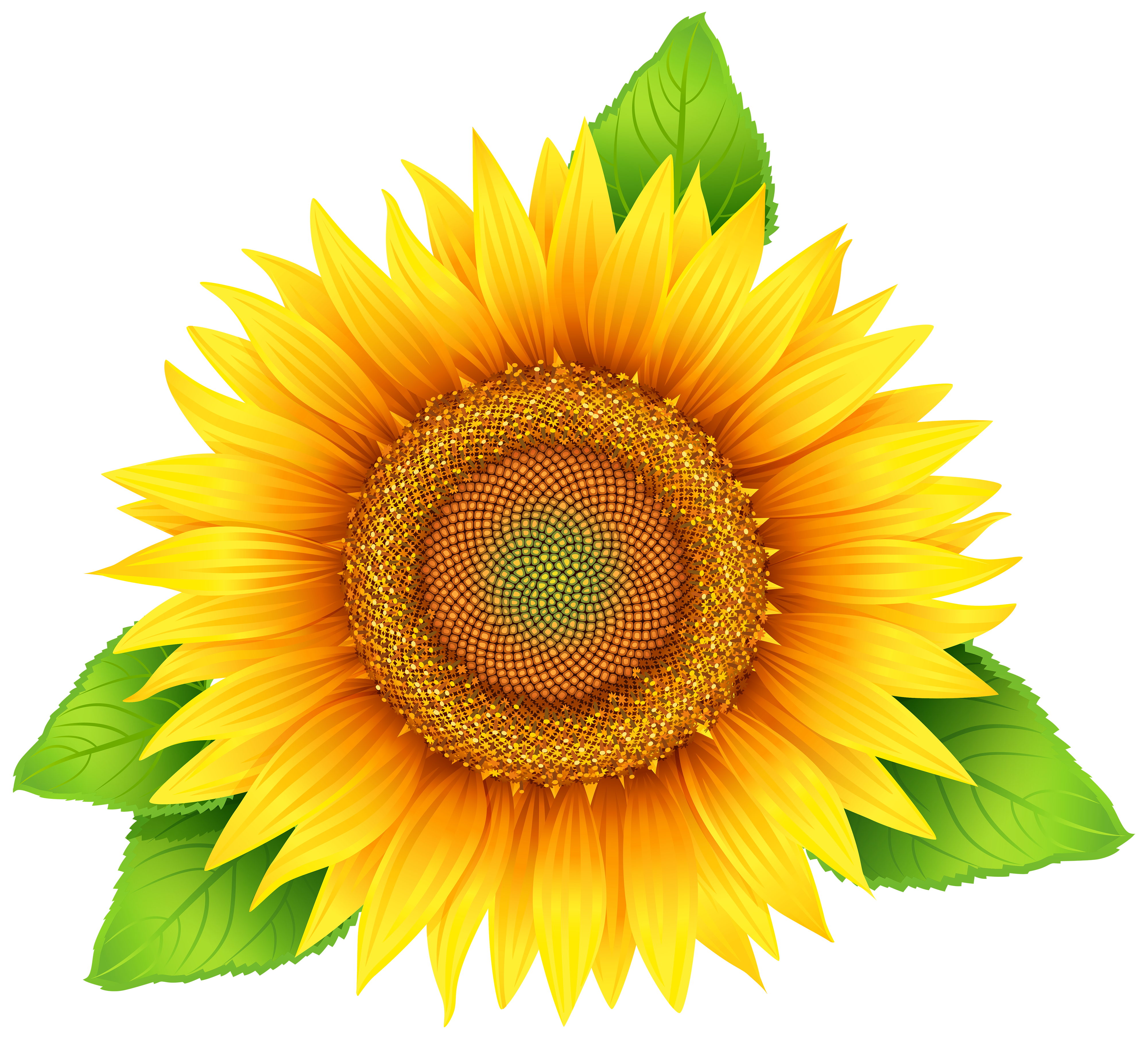 Vektor Tegak: Bunga Matahari Vektor Png