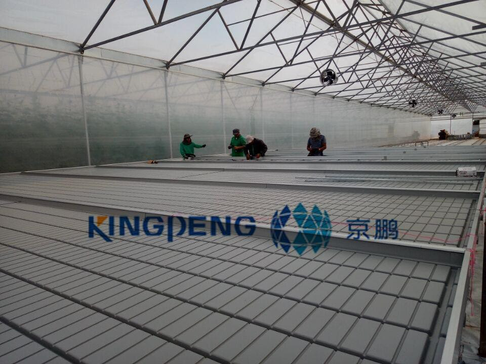Shop our wide range of greenhouses & shade houses at warehouse prices from quality brands. Seedling Greenhouse In Austrilia
