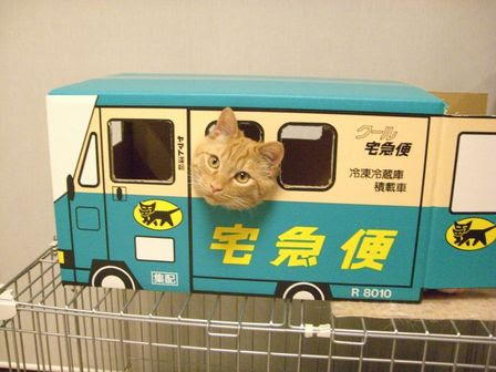 画像をダウンロード クロネコ ヤマト 猫 ダンボール 21年の1000 最高の写真