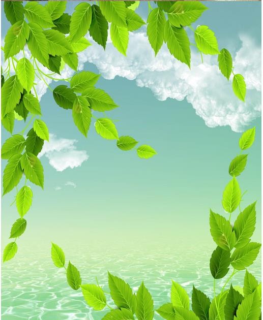 27 Wallpaper Warna Green Richa Wallpaper