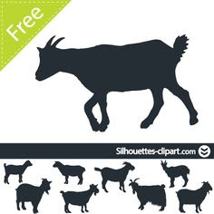Download Baby Goat Svg