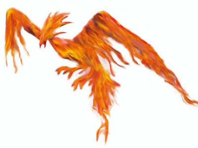 [最も選択された] 綺麗 火 の 鳥 イラスト 160893