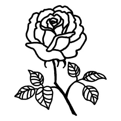 すべてのイラスト画像 トップ100白黒 薔薇 イラスト かっこいい