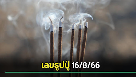 เลขเด็ดงวดนี้ 16/8/66 หวยเลขธูปปู่ จัดให้เน้น ๆ 4 เต็มแผง
