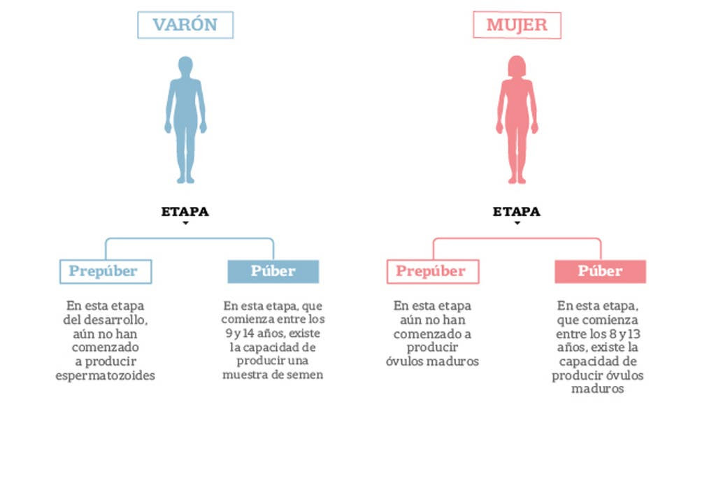 En el país, cada año, unos 1000 chicos y adolescentes podrían necesitar un tratamiento oncológico que pone en riesgo la fertilidad futura; la ley de reproducción médicamente asistida garantiza la cobertura de los procedimientos para preservarla, pero hay obstáculos y desafíos por superar