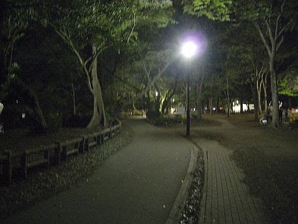 すべてのネイルアート画像 心に強く訴える 井の頭公園 夜