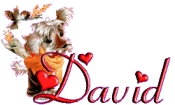 Tendances Pour Gif Anime Bonne Fete David Abdofolio