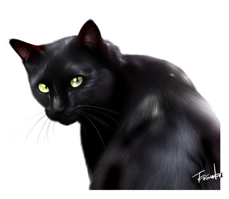 かわいい動物画像 最高黒猫 イラスト リアル