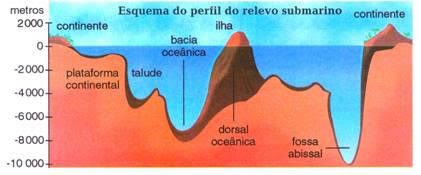 Resultado de imagem para IMAGENS SOBRE FORMA DE RELEVO SUBMARINO