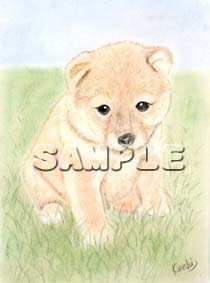 Freemuryoqbyidf 完了しました 柴犬 子犬 いぬ イラスト かわいい 1797