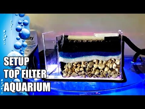 Setup Filter  Media In Aquarium  Top Filter 