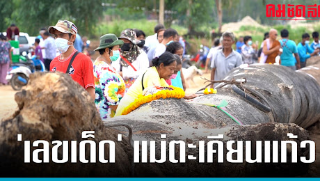 ชาวบ้านแห่ส่อง เลขเด็ดงวดนี้ แม่ตะเคียนแก้ว หลังอัญเชิญขึ้นจากเจ้าพระยา