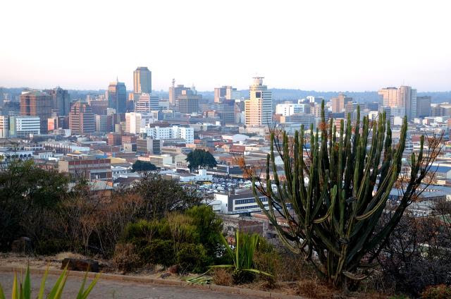 green space overlooking a large city