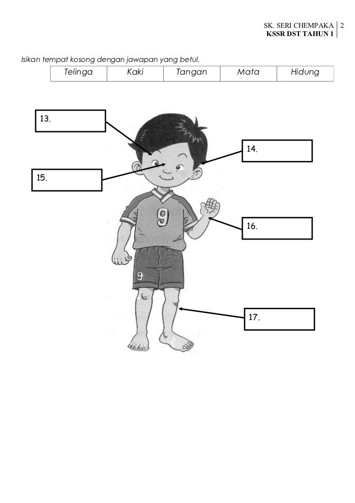 Contoh Soalan Sains Tadika 5 Tahun - Helowino