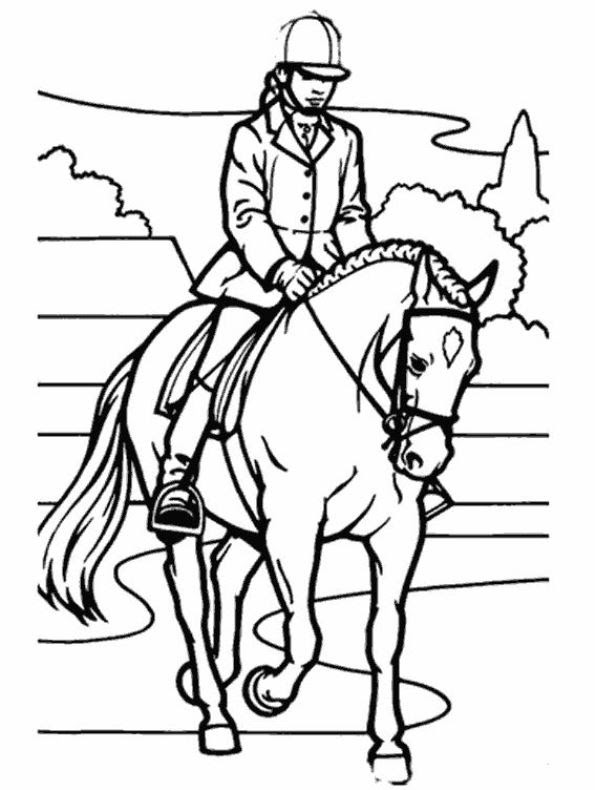 Paarden Spullen Kleurplaten