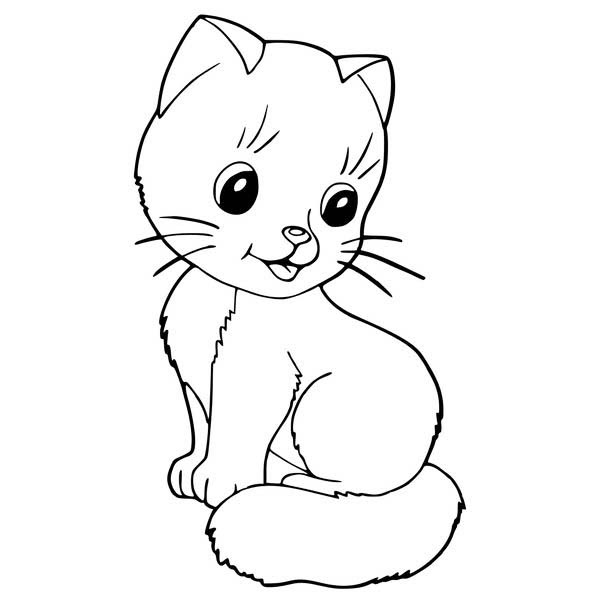 Mewarnai Sketsa Gambar  Kucing  Kucing  Belajar Menggambar 